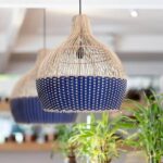 Aleta 1 Light Chandelier